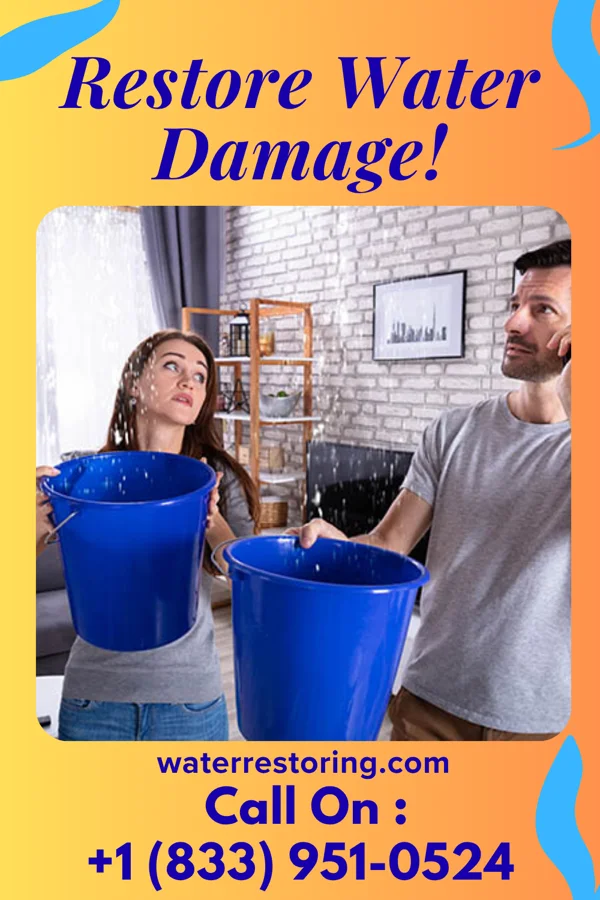 water restoration Prestige Sewage Cleanup Specialists Sobieski